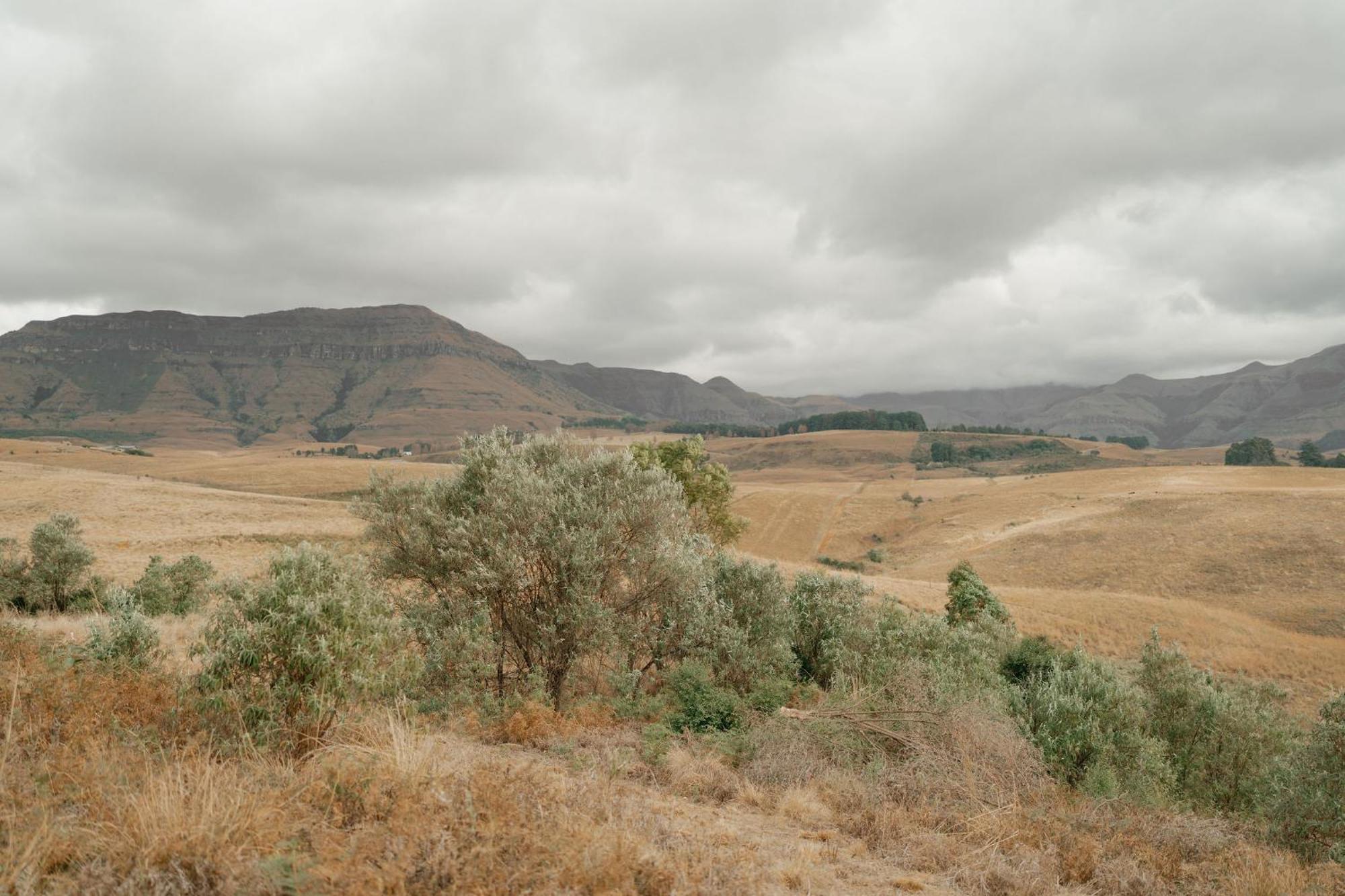 Champagne Valley Dragonview Lodge מראה חיצוני תמונה